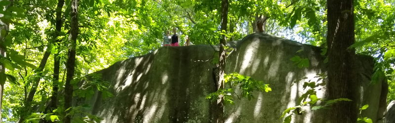 banner photo
