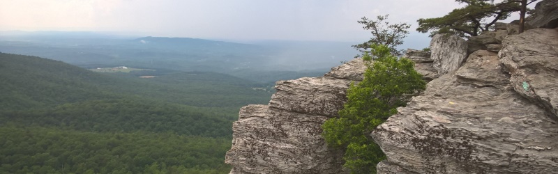 banner photo